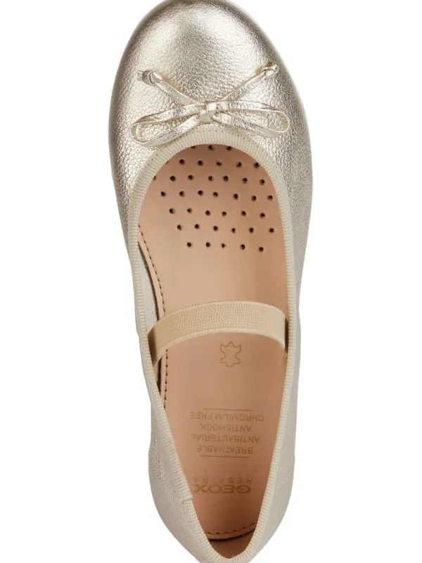 Geox Ballerinas in Platinum>Kinder Ballerinas