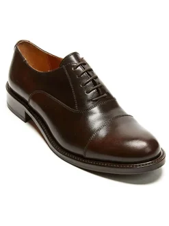 British Passport Leder-Schnürschuhe in Braun>Damen Schnürschuhe