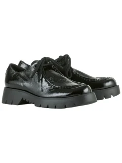 Högl Leder-Schnürschuhe in Schwarz>Damen Schnürschuhe