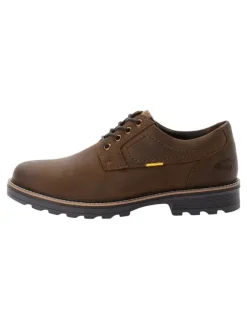 Camel Active Oxford Schnürschuhe aus echtem Leder in Braun>Herren Schnürschuhe