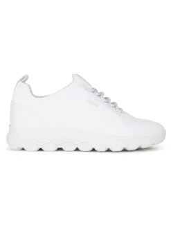Geox Sneakers in Weiß>Herren Schnürschuhe
